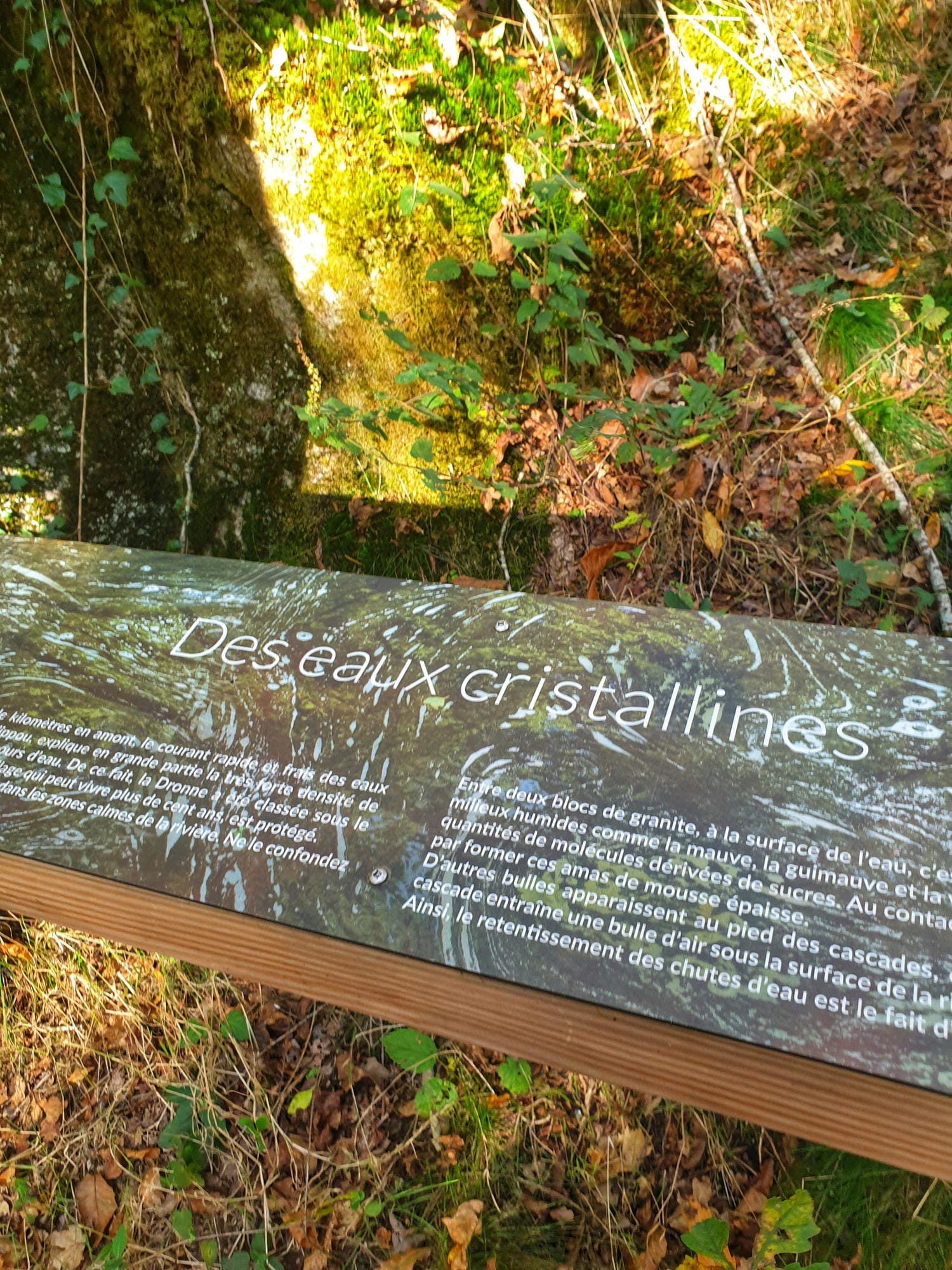 Panneau indicateur sur un banc en bois en forêt, site du Trou du Philippou à St-Saud