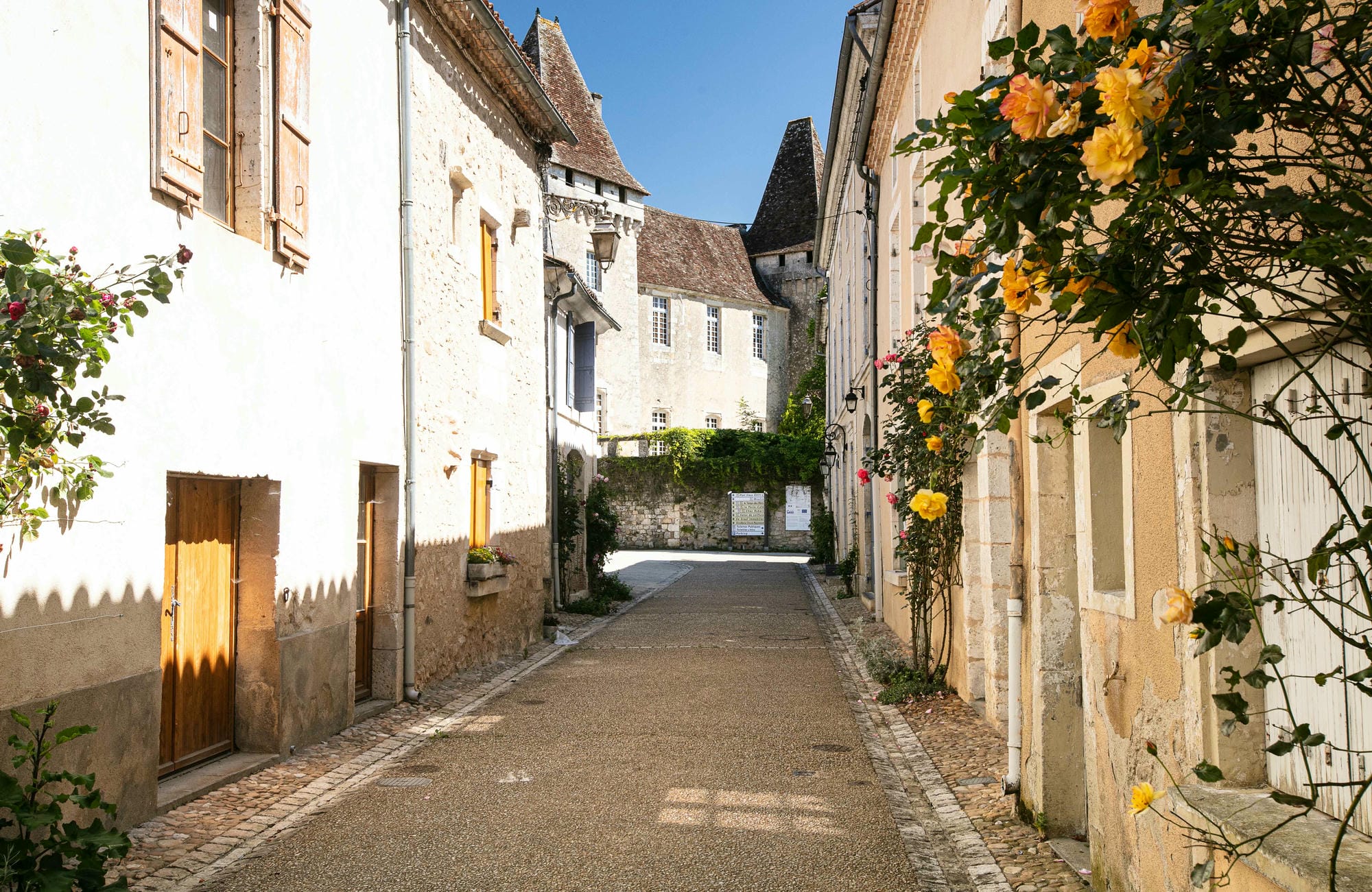 Ruelle étroite bordée de rosiers jaunes grimpants à St-Jean-de-Côle