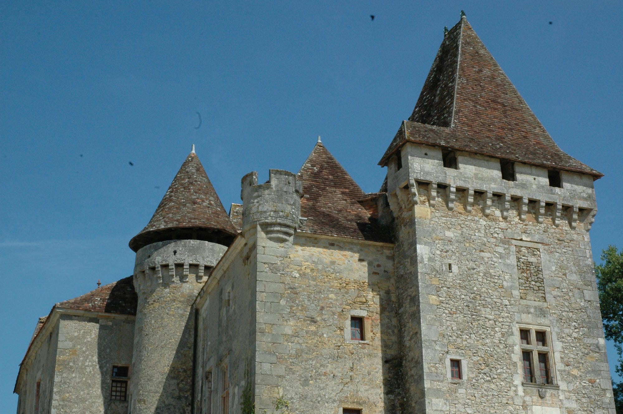 Le Château de la Marthonie à St-Jean-de-Côle et sa tour