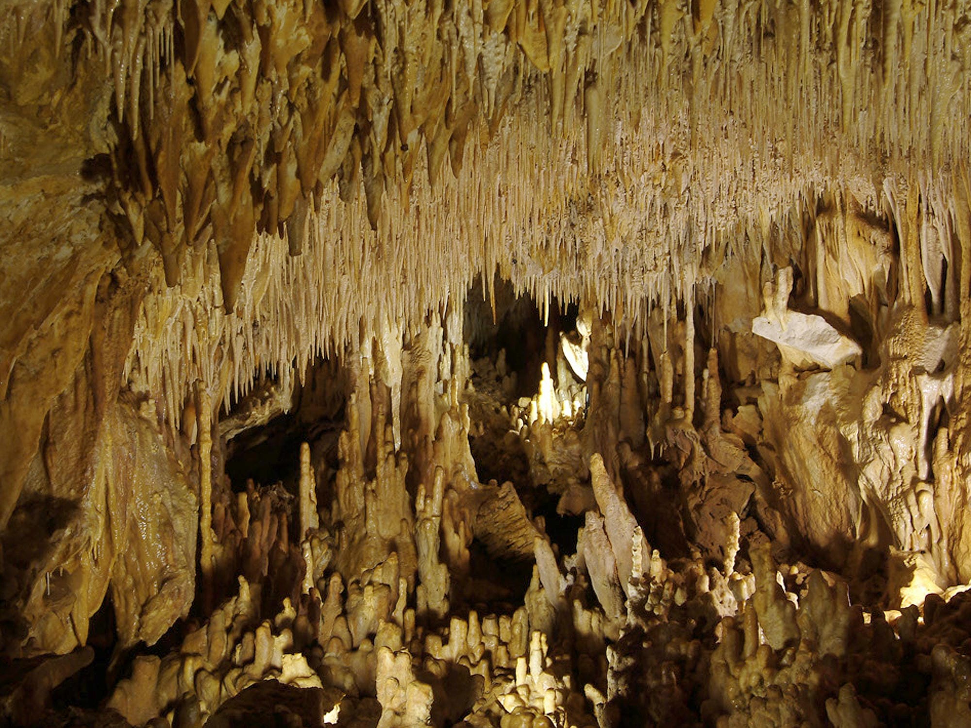Impressionnantes stalactites pendant du plafond des Grottes de Villars en Périgord