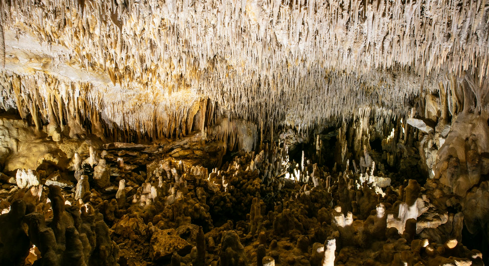 Plafond de stalactites des Grottes de Villars