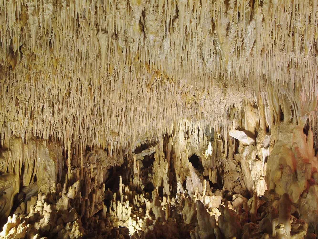 Forêt de stalactites et stalagmites dans les Grottes de Villars, site préhistorique classé à deux pas du Château le Verdoyer en Dordogne
