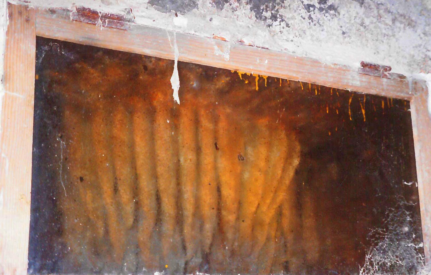 ruche d'abeilles dans la vieille tour du Château le Verdoyer